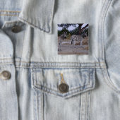 Badge Carré 5 Cm Photo Zebra Double Take (En situation)