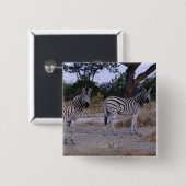 Badge Carré 5 Cm Photo Zebra Double Take (Devant & derrière)