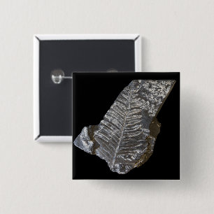Badge Carré 5 Cm Photographie de la nature Feuille de la feuille de