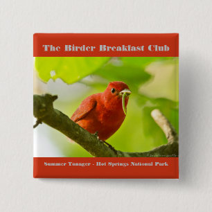 Badge Carré 5 Cm Photographie de la nature Tangara écarlate Ornitho