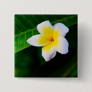 Badge Carré 5 Cm Photographie florale de frangipanier tropical