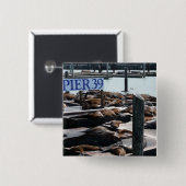 Badge Carré 5 Cm Pier 39 Sea Lions (Devant & derrière)