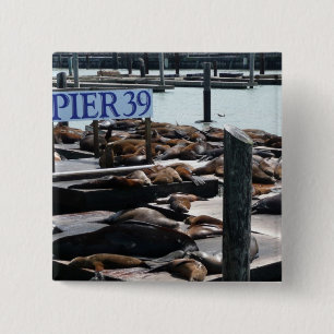 Badge Carré 5 Cm Pier 39 Sea Lions