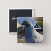 Badge Carré 5 Cm Pigeon (Devant & derrière)