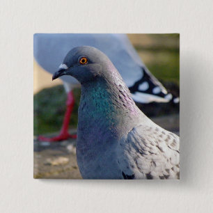 Badge Carré 5 Cm Pigeon