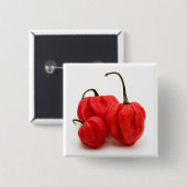 Badge Carré 5 Cm Pimento doux (Devant & derrière)