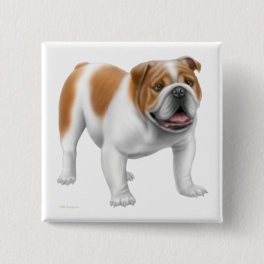 Badge Carré 5 Cm Pin anglais de bouledogue (Devant)