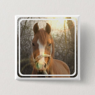 Badge Carré 5 Cm Pin arabe de carré de cheval de châtaigne