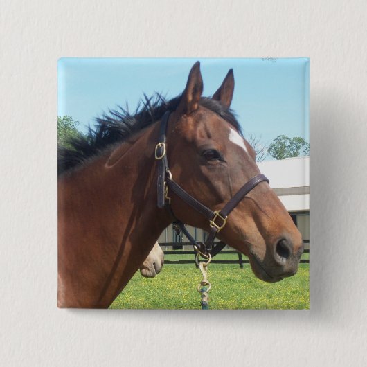 Badge Carré 5 Cm Pin arabe vigilant de cheval (Devant)