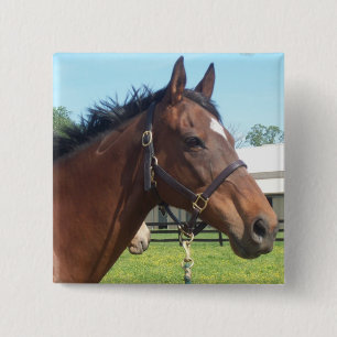 Badge Carré 5 Cm Pin arabe vigilant de cheval