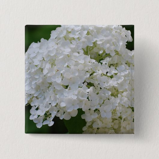 Badge Carré 5 Cm Pin blanc d'hortensias (Devant)