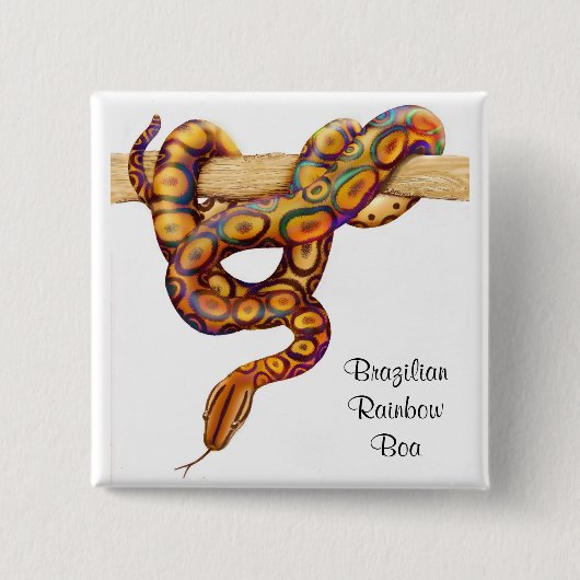 Badge Carré 5 Cm Pin brésilien de boa d'arc-en-ciel (Devant)