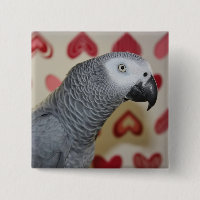 Pin de bouton de perroquet de gris africain de