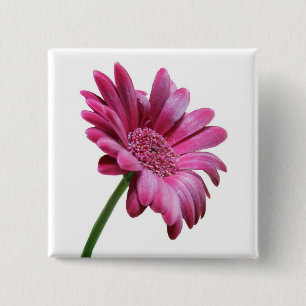 Badge Carré 5 Cm Pin de carré de marguerite de Gerbera