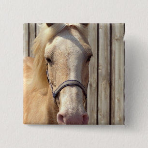 Badge Carré 5 Cm Pin de carré de poney de palomino