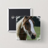 Badge Carré 5 Cm Pin de carré de poney de Pinto (Devant & derrière)