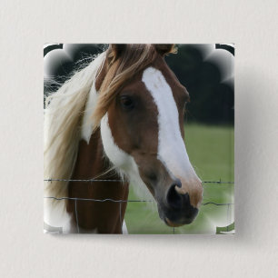 Badge Carré 5 Cm Pin de carré de poney de Pinto