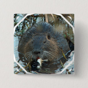 Badge Carré 5 Cm Pin de carré d'habitat de castors