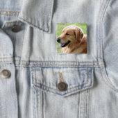 Badge Carré 5 Cm Pin de chiot de golden retriever (En situation)