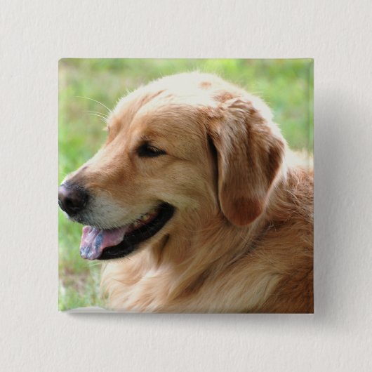 Badge Carré 5 Cm Pin de chiot de golden retriever (Devant)