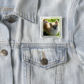 Badge Carré 5 Cm Pin de chiots de Pomeranian (En situation)
