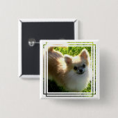 Badge Carré 5 Cm Pin de chiots de Pomeranian (Devant & derrière)