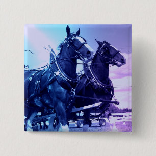 Badge Carré 5 Cm Pin de Clydesdale