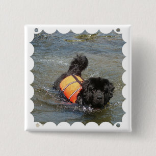 Badge Carré 5 Cm Pin de délivrance de l'eau de Newfie