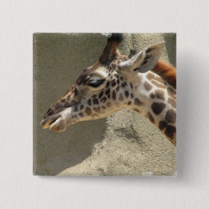 Badge Carré 5 Cm Pin de girafe