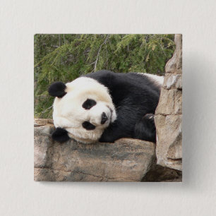 Badge Carré 5 Cm Pin de panda