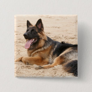 Badge Carré 5 Cm Pin de repos de carré de chien de berger allemand