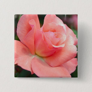 Badge Carré 5 Cm Pin de rose de rose