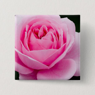 Badge Carré 5 Cm Pin de rose de rose en pastel