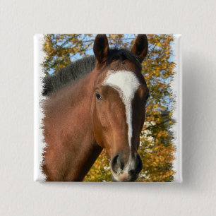 Badge Carré 5 Cm Pin quart de carré de cheval