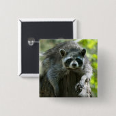 Badge Carré 5 Cm Pins Raccoon (Devant & derrière)