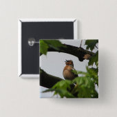 Badge Carré 5 Cm Pinson commun (Devant & derrière)