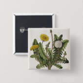 Badge Carré 5 Cm Pissenlit (gravure de couleur) (Devant & derrière)