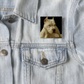 Badge Carré 5 Cm Pitbull blanc (En situation)