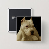 Badge Carré 5 Cm Pitbull blanc (Devant & derrière)