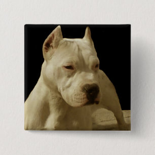 Badge Carré 5 Cm Pitbull blanc