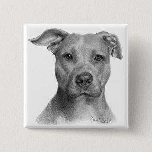 Badge Carré 5 Cm Pitbull Terrier américain