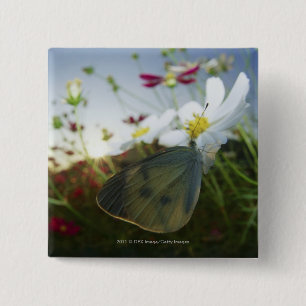 Badge Carré 5 Cm Plan rapproché de papillon sur la fleur