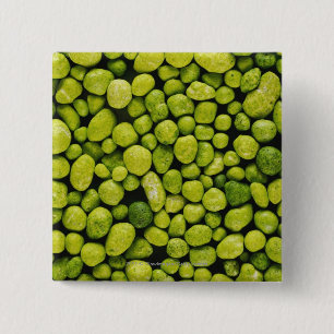 Badge Carré 5 Cm Plan rapproché des cailloux verts