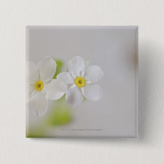 Badge Carré 5 Cm Plan rapproché des fleurs (Devant)