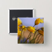 Badge Carré 5 Cm Plan rapproché des jonquilles (Devant & derrière)