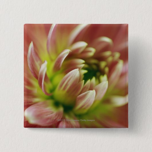 Badge Carré 5 Cm Plan rapproché d'une fleur (Devant)