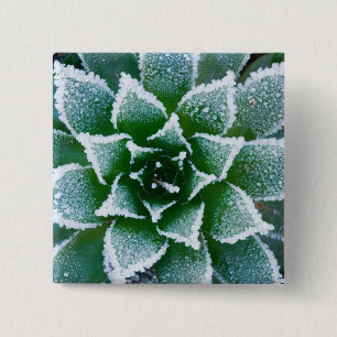 Badge Carré 5 Cm Plante grasse Hen & Chicks avec gelée au début