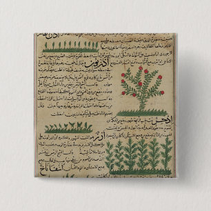 Badge Carré 5 Cm Plantes botaniques, illustration de '