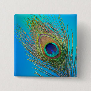 Badge Carré 5 Cm Plume de queue de paon