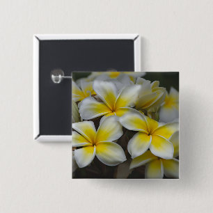 Badge Carré 5 Cm Plumeria Tropical Fleur Blanche et Jaune